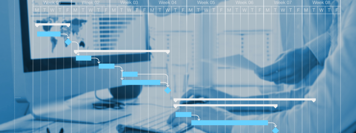 Virtuelle Assistenz für Projektmanagement & Prozesse