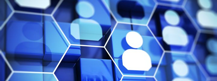Webinare und Gruppenprogramme